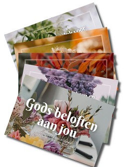 Gods beloften aan jou (kaartjes)